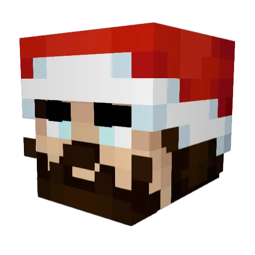 ancapbear Minecraft avatar head, 3D render