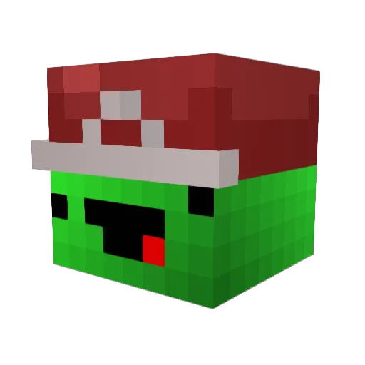 ancapin Minecraft avatar head, 3D render