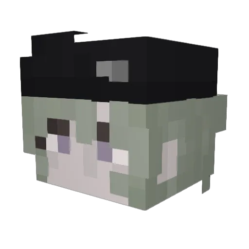 anchis3 Minecraft avatar head, 3D render