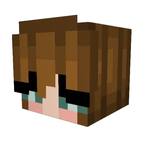 andeehaw Minecraft avatar head, 3D render