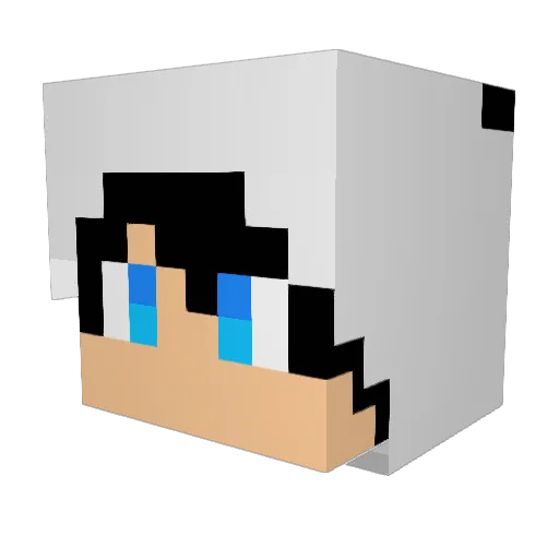 anden_04 Minecraft avatar head, 3D render