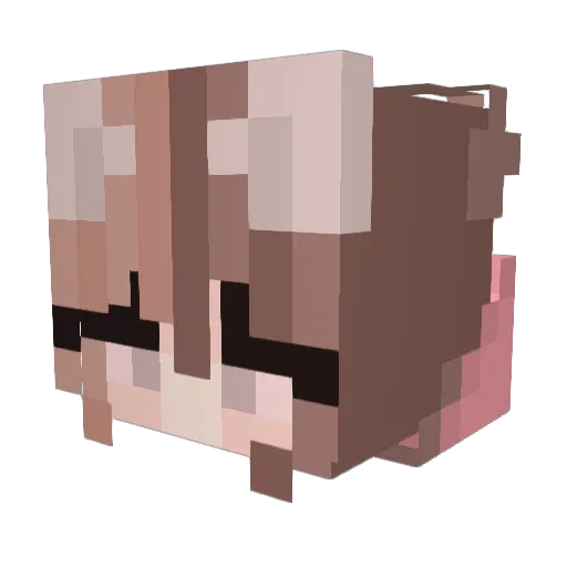 andervase Minecraft avatar head, 3D render