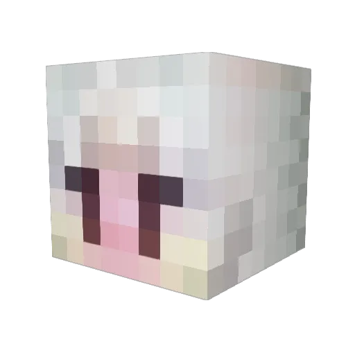 andreawankenobi Minecraft avatar head, 3D render