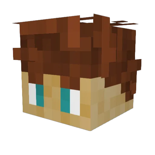 andresch_15 Minecraft avatar head, 3D render