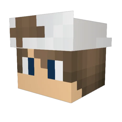 andrew209 Minecraft avatar head, 3D render