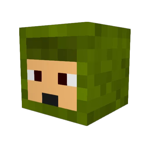 andrewdillon217 Minecraft avatar head, 3D render