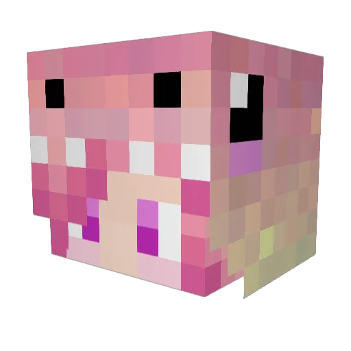 andromednasa Minecraft avatar head, 3D render