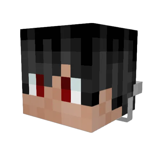 andrwe455 Minecraft avatar head, 3D render