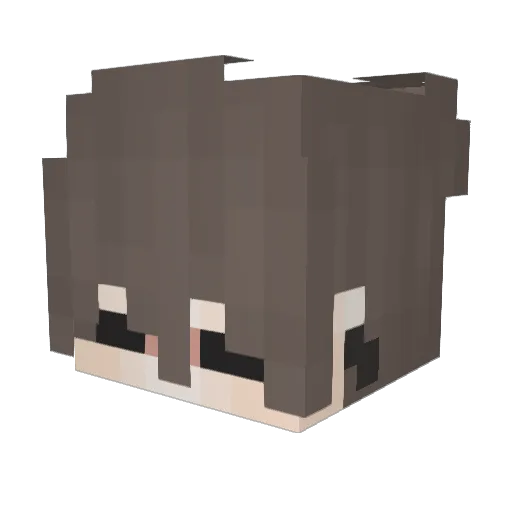 andrwson Minecraft avatar head, 3D render