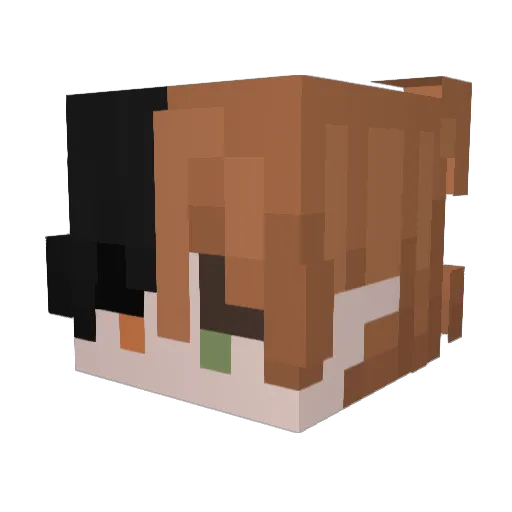 andyfr Minecraft avatar head, 3D render