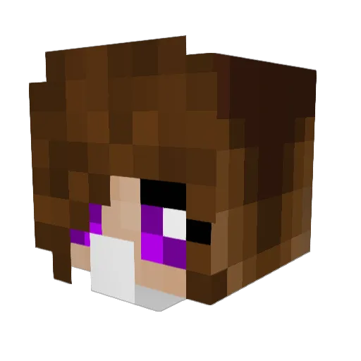 andynowli Minecraft avatar head, 3D render