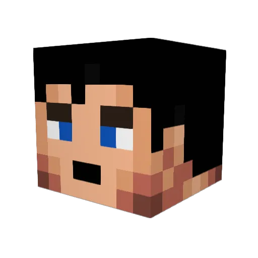 andyroo1469 Minecraft avatar head, 3D render