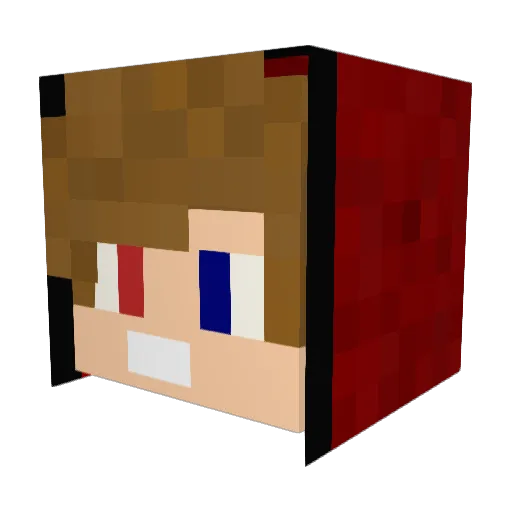 andyuglifruit Minecraft avatar head, 3D render