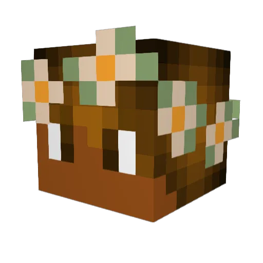 anecidna Minecraft avatar head, 3D render