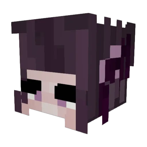 aneekul Minecraft avatar head, 3D render