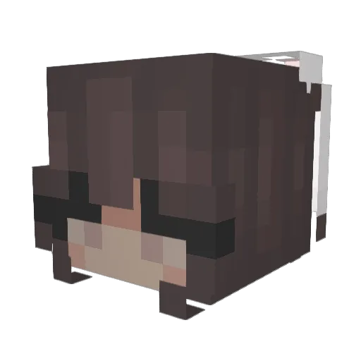 aneeshq Minecraft avatar head, 3D render