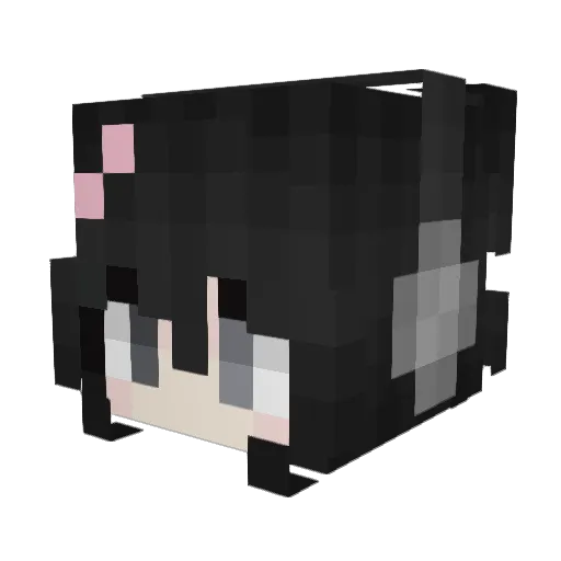 anelenrd Minecraft avatar head, 3D render