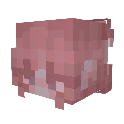 anemoiiia Minecraft avatar head, 3D render
