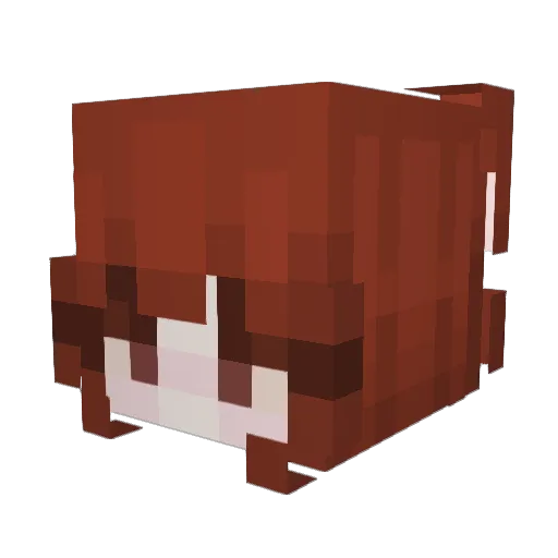 anemonan4 Minecraft avatar head, 3D render