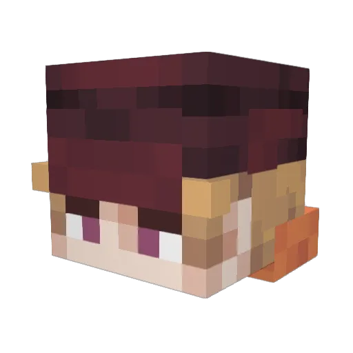 anencephaly Minecraft avatar head, 3D render