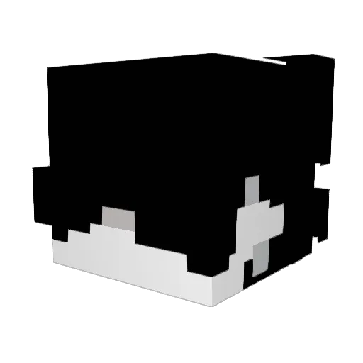 anfanu Minecraft avatar head, 3D render