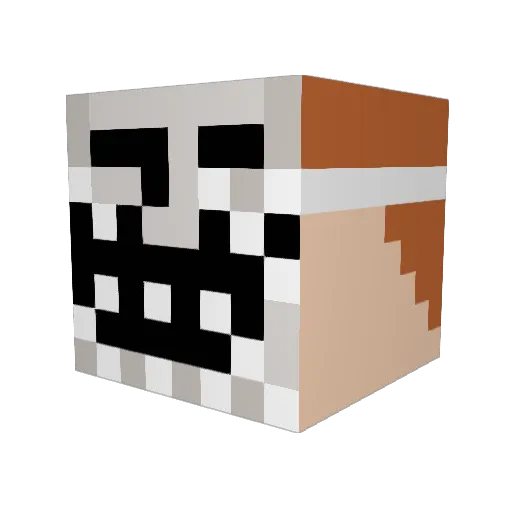 anfieldhero Minecraft avatar head, 3D render