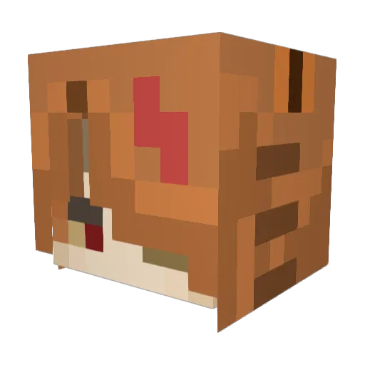 ang3redf1sh Minecraft avatar head, 3D render