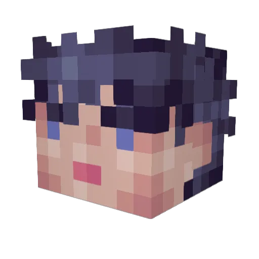 angause Minecraft avatar head, 3D render