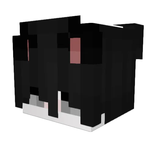 angberg1 Minecraft avatar head, 3D render