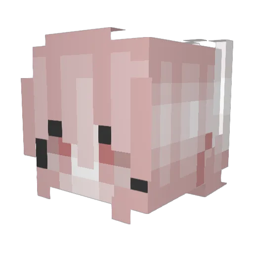 angelbunnies Minecraft avatar head, 3D render
