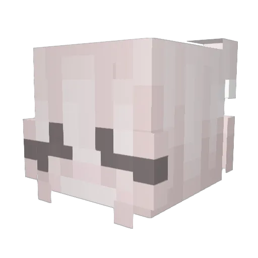 angelcakec0re Minecraft avatar head, 3D render