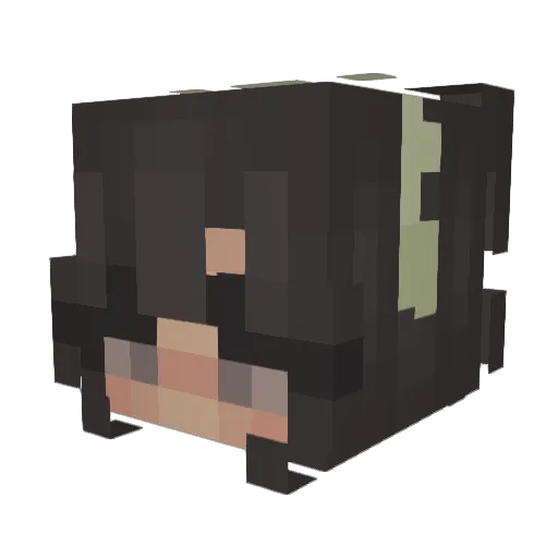 angellbuny Minecraft avatar head, 3D render