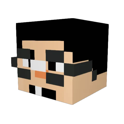 angelman2741 Minecraft avatar head, 3D render