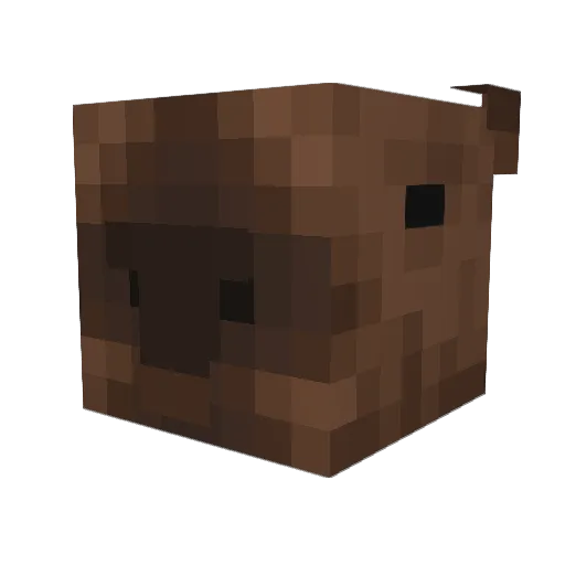 angelo_santos_13 Minecraft avatar head, 3D render