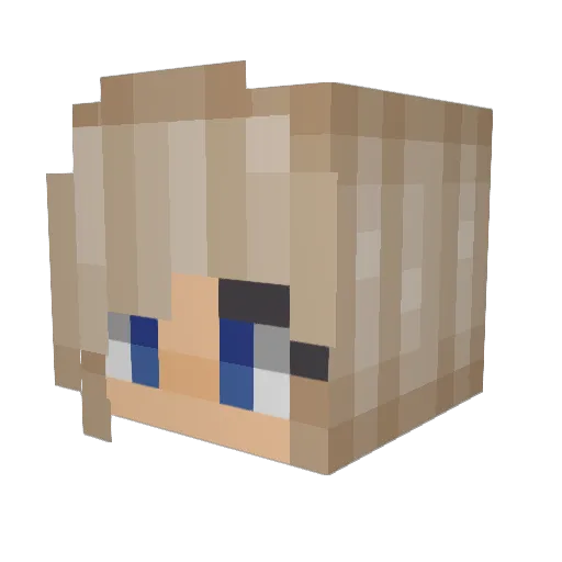 angery_bee Minecraft avatar head, 3D render