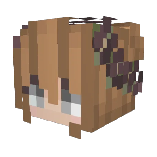 angewiwi Minecraft avatar head, 3D render
