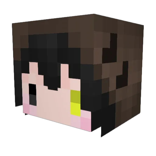 angle_Rachel Minecraft avatar head, 3D render