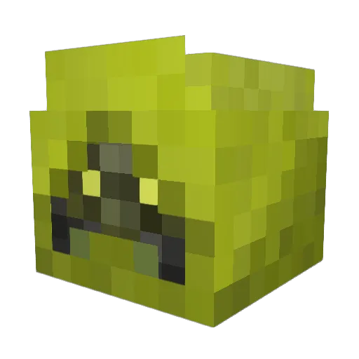 angrybearboy Minecraft avatar head, 3D render