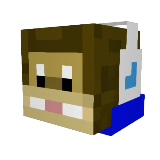 angrymonkeywes Minecraft avatar head, 3D render