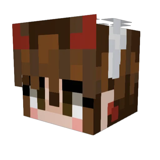 angryotter89 Minecraft avatar head, 3D render