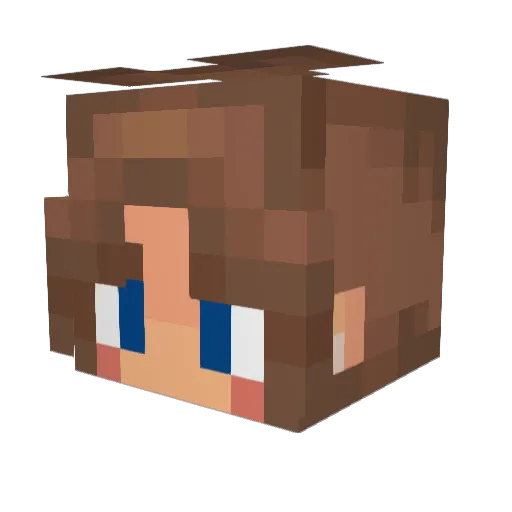 angrypenguin7437 Minecraft avatar head, 3D render