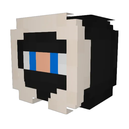 angrystudent11 Minecraft avatar head, 3D render