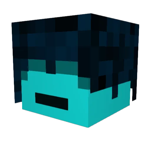 angsthony Minecraft avatar head, 3D render