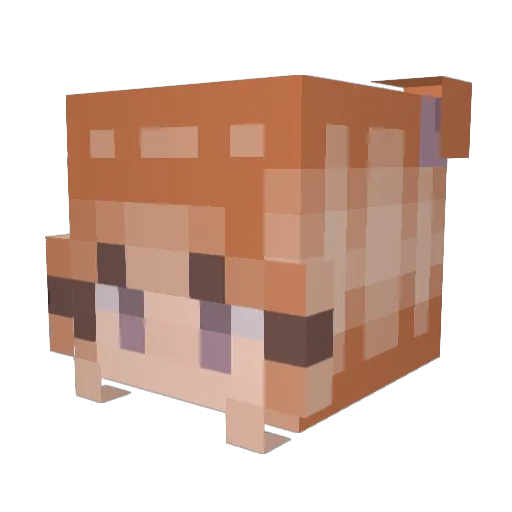 angvie17 Minecraft avatar head, 3D render