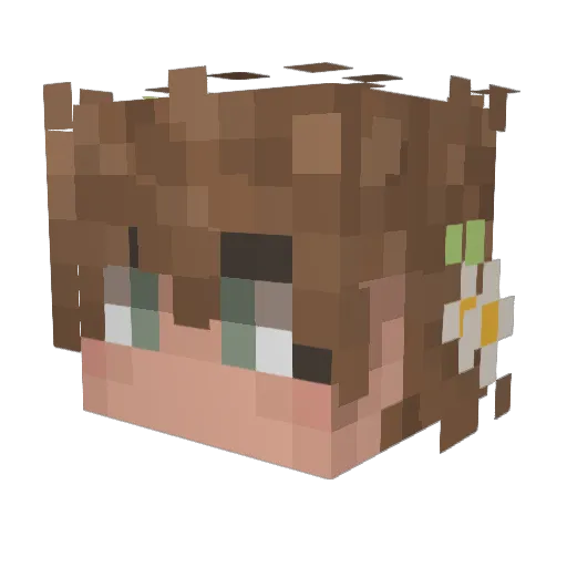 anhedoniaplayer Minecraft avatar head, 3D render