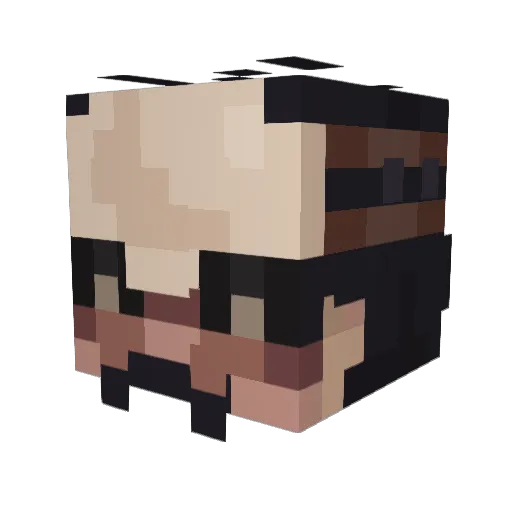 anhovy Minecraft avatar head, 3D render