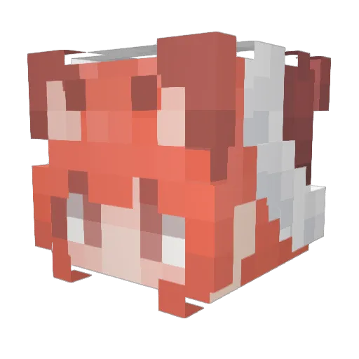 ani197 Minecraft avatar head, 3D render
