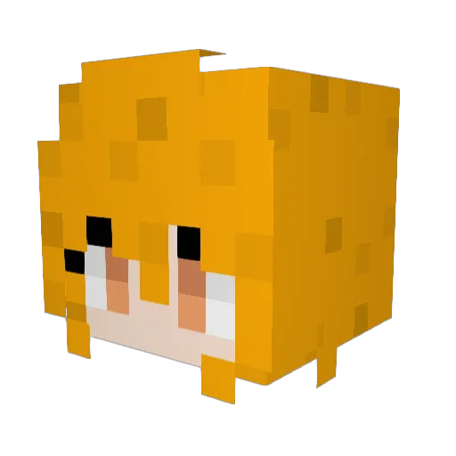 ani2010 Minecraft avatar head, 3D render