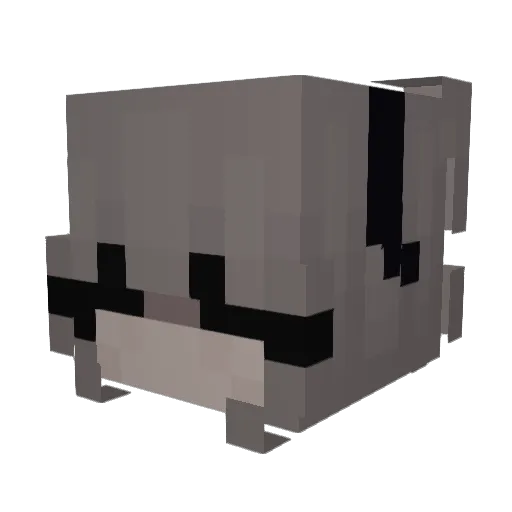 ania1miki Minecraft avatar head, 3D render