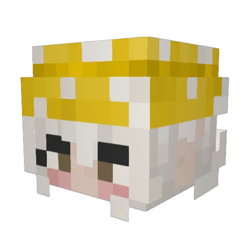 ania__ Minecraft avatar head, 3D render